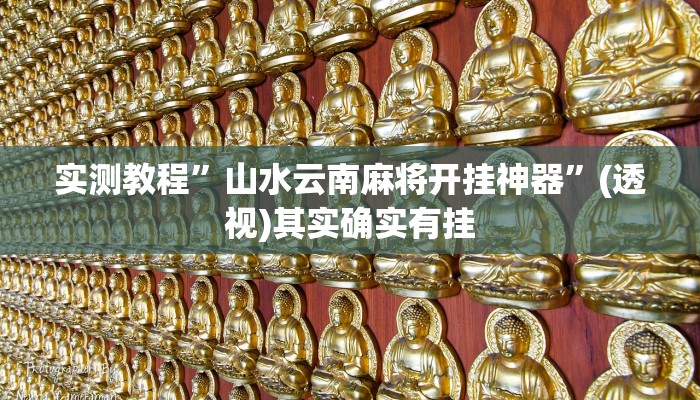 辅助神器“福建十三水万能辅助器”(详细透视教程)-知乎