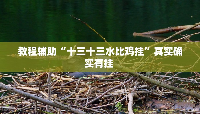 教程辅助“十三十三水比鸡挂”其实确实有挂 教程辅助“十三十三水比鸡挂”其实确实有挂