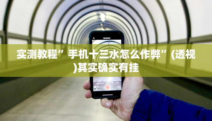辅助开挂神器“wepoker德州作弊辅助”(透视)其实确实有挂