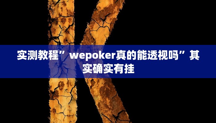 辅助开挂神器“黑鹰众玩真的确实有挂”(透视)其实确实有挂