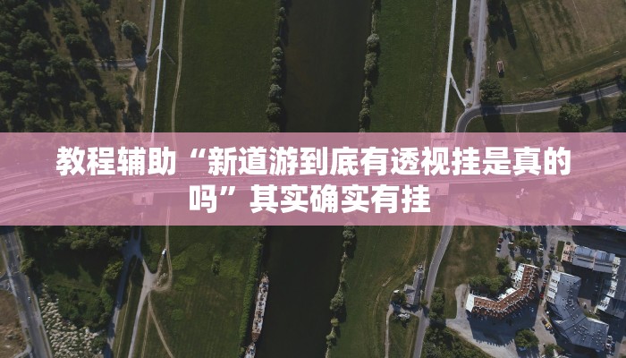 辅助开挂神器“永和备厅金花怎么装挂”其实确实有挂 辅助开挂神器“永和备厅金花怎么装挂”其实确实有挂