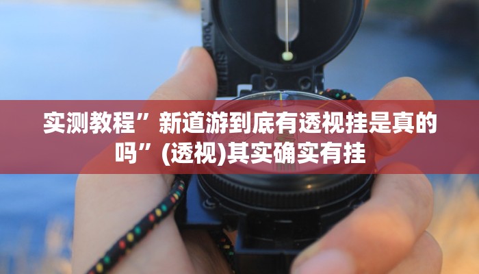 万能开挂辅助“毛豆娱乐可以开挂吗”其实确实有挂