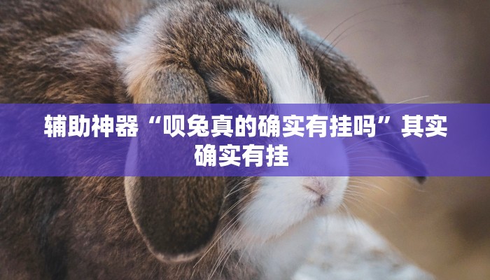 辅助开挂神器“开心十三张有没有挂”其实确实有挂