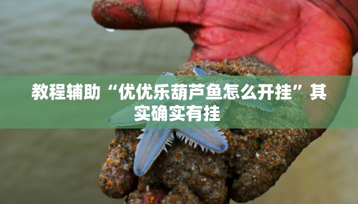 辅助开挂神器“打牌网有开挂的吗”(透视)其实确实有挂