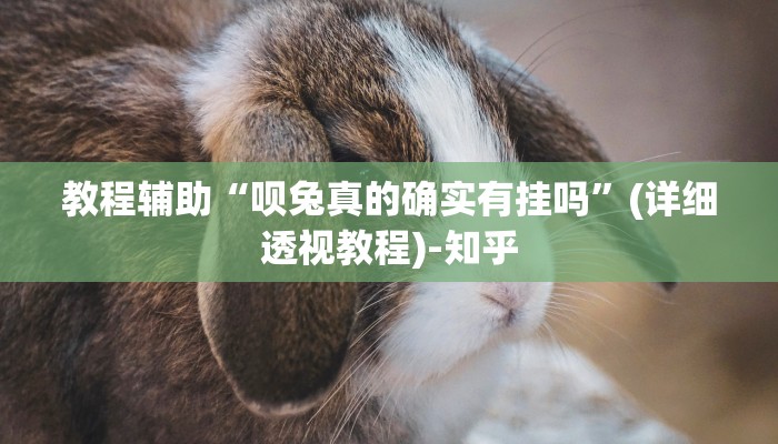 实测教程”琼雀海南麻将到底是不是挂”其实确实有挂 实测教程”琼雀海南麻将到底是不是挂”其实确实有挂