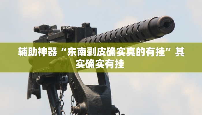 辅助神器“东南剥皮确实真的有挂”其实确实有挂 