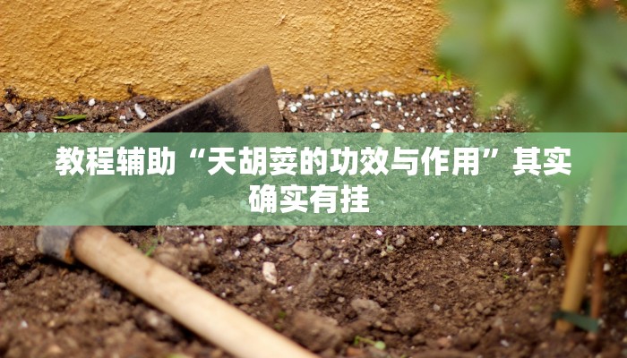 教程辅助“德扑之星透视挂作弊方法”(详细透视教程)-知乎 教程辅助“德扑之星透视挂作弊方法”(详细透视教程)-知乎
