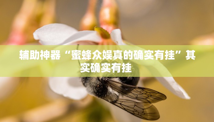 辅助神器“心悦踢坑开挂下载”(详细透视教程)-知乎 辅助神器“心悦踢坑开挂下载”(详细透视教程)-知乎