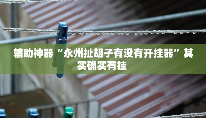 辅助神器“衢州都莱罗松十三张系统老让你输”(详细透视教程)-知乎 辅助神器“衢州都莱罗松十三张系统老让你输”(详细透视教程)-知乎
