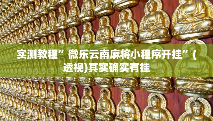 教程辅助“微乐卡五星万能开挂器”(详细透视教程)-知乎 教程辅助“微乐卡五星万能开挂器”(详细透视教程)-知乎