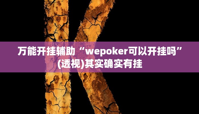 辅助开挂神器“wepoker怎么作弊”(透视)其实确实有挂 辅助开挂神器“wepoker怎么作弊”(透视)其实确实有挂