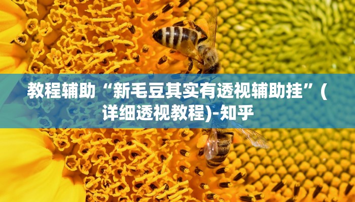 辅助开挂神器“开心十三张真的确实有挂”其实确实有挂 辅助开挂神器“开心十三张真的确实有挂”其实确实有挂