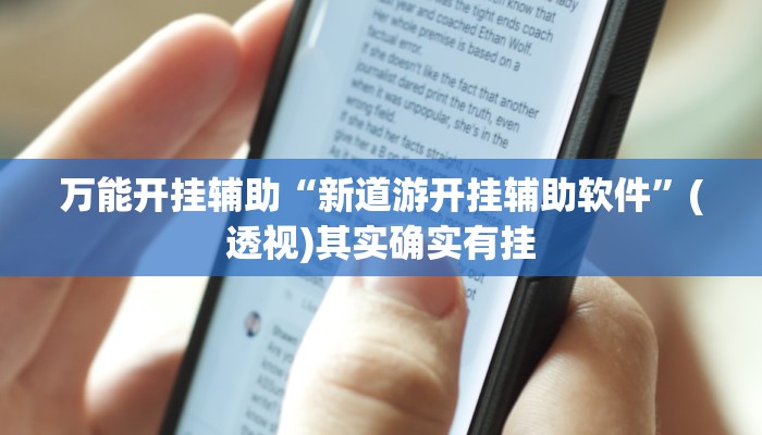万能开挂辅助“新道游开挂辅助软件”(透视)其实确实有挂