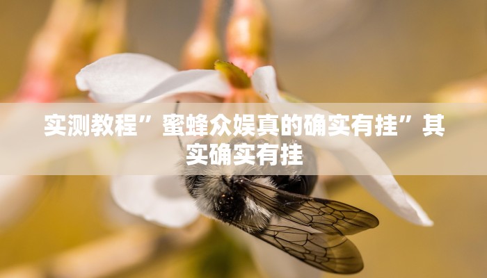 实测教程”蜜蜂众娱真的确实有挂”其实确实有挂 实测教程”蜜蜂众娱真的确实有挂”其实确实有挂