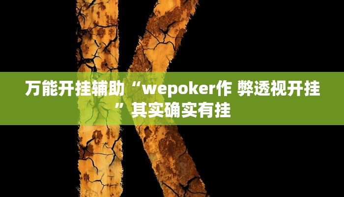 万能开挂辅助“东方十三道辅助器”(透视)其实确实有挂 万能开挂辅助“东方十三道辅助器”(透视)其实确实有挂