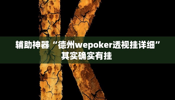 辅助神器“德州wepoker透视挂详细”其实确实有挂 
