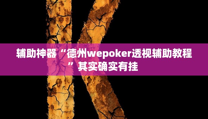 辅助神器“德州wepoker透视辅助教程”其实确实有挂 