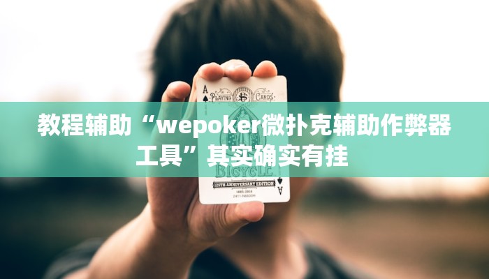 教程辅助“wepoker微扑克辅助作弊器工具”其实确实有挂 