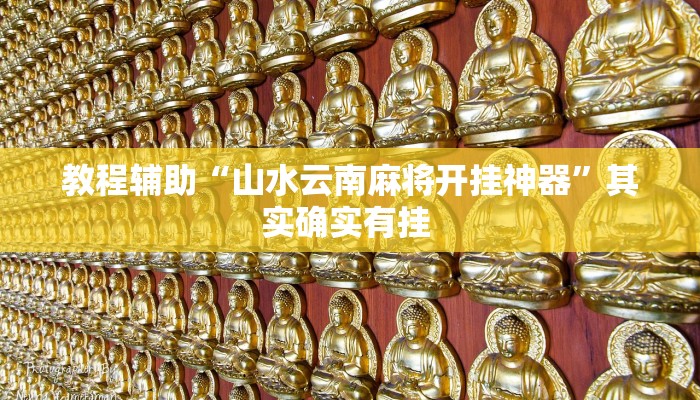 教程辅助“山水云南麻将开挂神器”其实确实有挂 教程辅助“山水云南麻将开挂神器”其实确实有挂