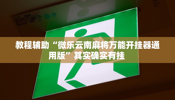 教程辅助“微乐云南麻将万能开挂器通用版”其实确实有挂 教程辅助“微乐云南麻将万能开挂器通用版”其实确实有挂