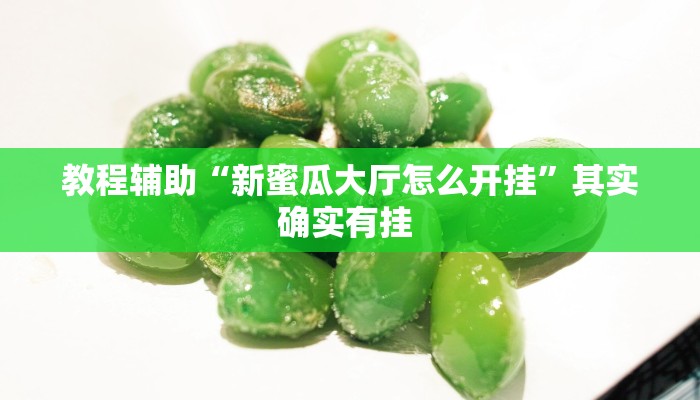 教程辅助“新蜜瓜大厅怎么开挂”其实确实有挂 教程辅助“新蜜瓜大厅怎么开挂”其实确实有挂
