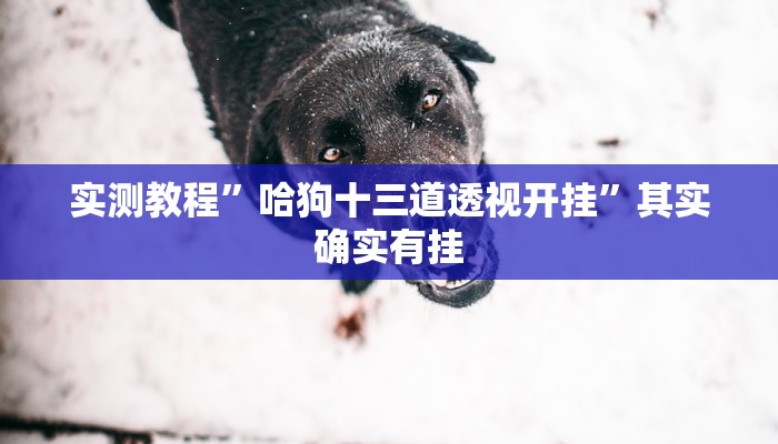 实测教程”哈狗十三道透视开挂”其实确实有挂 实测教程”哈狗十三道透视开挂”其实确实有挂