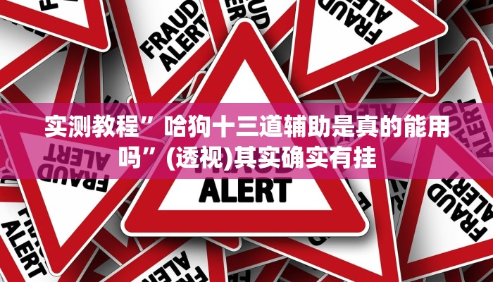 实测教程”哈狗十三道辅助是真的能用吗”(透视)其实确实有挂 实测教程”哈狗十三道辅助是真的能用吗”(透视)其实确实有挂