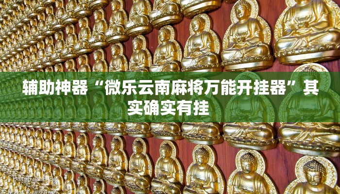 万能开挂辅助“wepoker德州辅助软件”(透视)其实确实有挂 万能开挂辅助“wepoker德州辅助软件”(透视)其实确实有挂