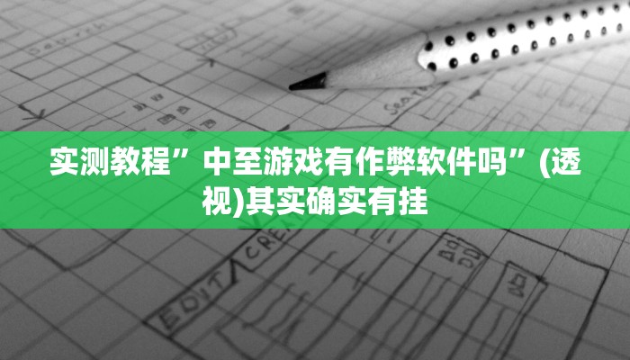 实测教程”中至游戏有作弊软件吗”(透视)其实确实有挂 实测教程”中至游戏有作弊软件吗”(透视)其实确实有挂