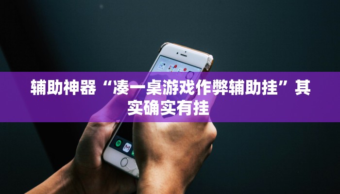 辅助神器“凑一桌游戏作弊辅助挂”其实确实有挂 辅助神器“凑一桌游戏作弊辅助挂”其实确实有挂
