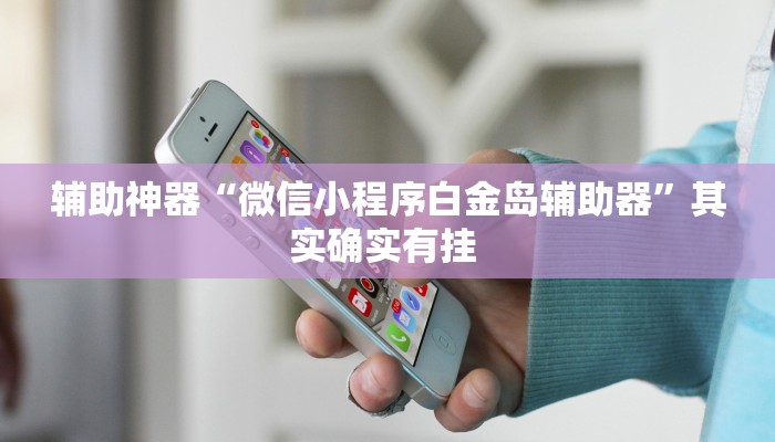 辅助神器“微信小程序白金岛辅助器”其实确实有挂 辅助神器“微信小程序白金岛辅助器”其实确实有挂