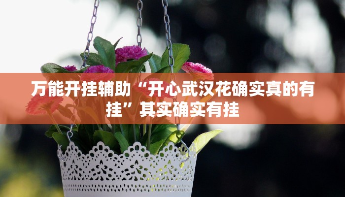 万能开挂辅助“开心武汉花确实真的有挂”其实确实有挂 万能开挂辅助“开心武汉花确实真的有挂”其实确实有挂