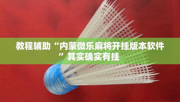 教程辅助“内蒙微乐麻将开挂版本软件”其实确实有挂 教程辅助“内蒙微乐麻将开挂版本软件”其实确实有挂
