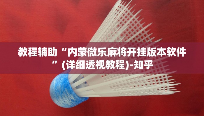 教程辅助“情怀宜春麻将外卦软件”(详细透视教程)-知乎 教程辅助“情怀宜春麻将外卦软件”(详细透视教程)-知乎