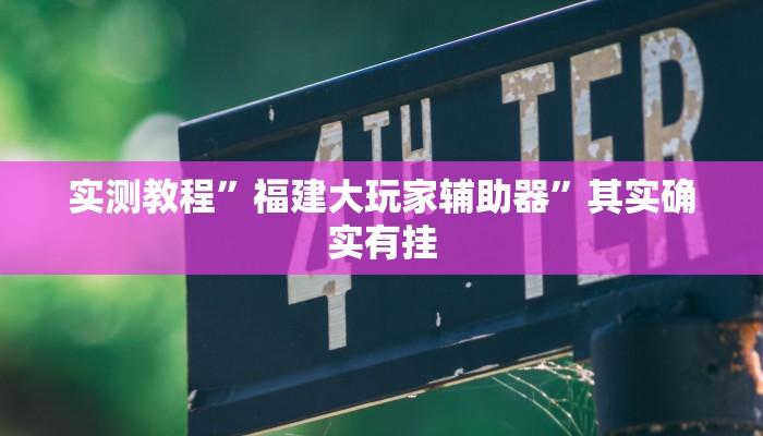 实测教程”福建大玩家辅助器”其实确实有挂 实测教程”福建大玩家辅助器”其实确实有挂