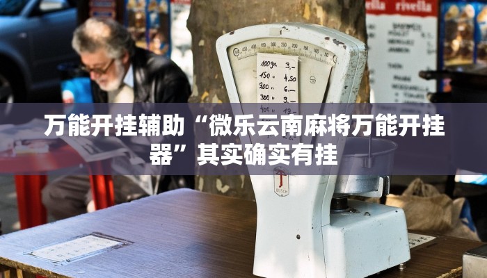 万能开挂辅助“微乐云南麻将万能开挂器”其实确实有挂 万能开挂辅助“微乐云南麻将万能开挂器”其实确实有挂