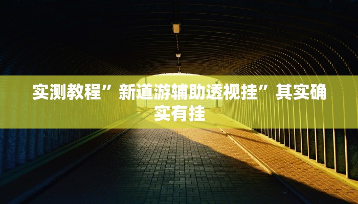 实测教程”新道游辅助透视挂”其实确实有挂