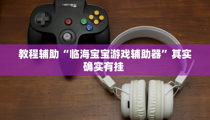 教程辅助“临海宝宝游戏辅助器”其实确实有挂 