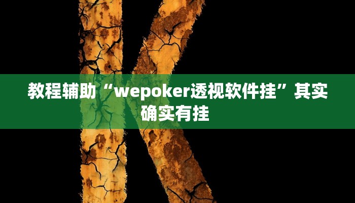教程辅助“wepoker透视软件挂”其实确实有挂 