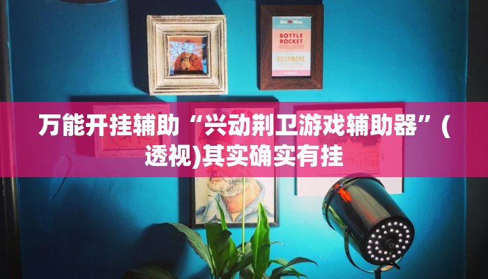 万能开挂辅助“兴动荆卫游戏辅助器”(透视)其实确实有挂