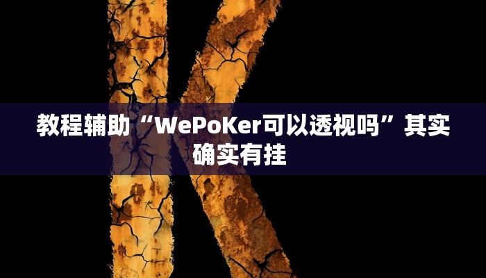 教程辅助“WePoKer可以透视吗”其实确实有挂 