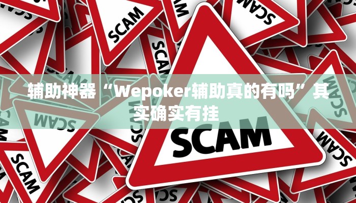 辅助神器“Wepoker辅助真的有吗”其实确实有挂 
