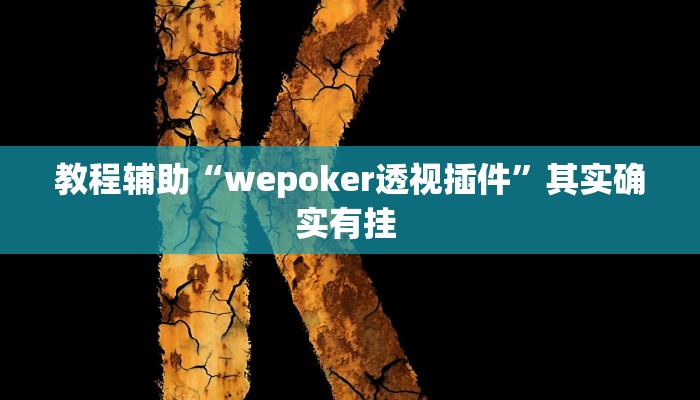 教程辅助“wepoker透视插件”其实确实有挂 